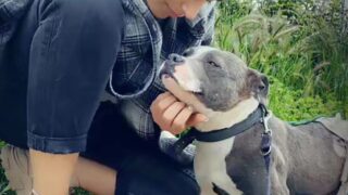 Condamnée pour avoir sauvé une chienne jetée à la poubelle : la justice prononce un ajournement de la peine et ordonne la restitution de l’animal à sa “propriétaire”