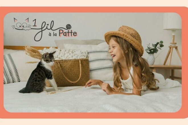 1fil à la Patte ! Présentation de cette nouvelle chat’boutique e-commerce !
