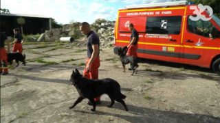 L’équipe cynotechnique des sapeurs pompiers de Paris et leurs fidèles alliés canins ouvrent leurs portes à 30 Millions d’Amis