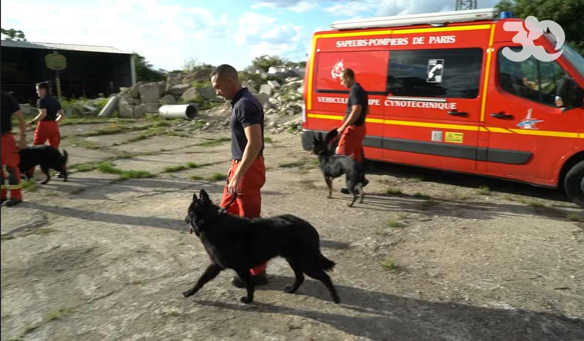 L’équipe cynotechnique des sapeurs pompiers de Paris et leurs fidèles alliés canins ouvrent leurs portes à 30 Millions d’Amis