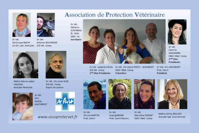 Prévention et gestion des accidents avec les animaux en milieu vétérinaire