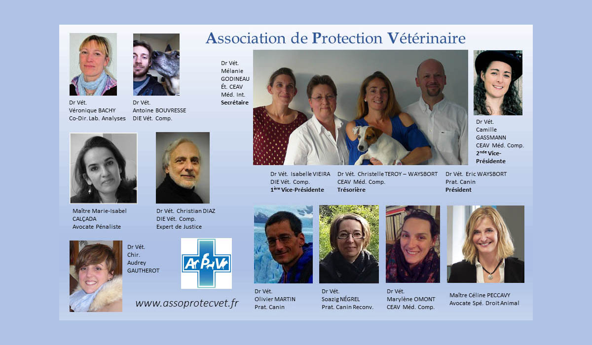 Prévention et gestion des accidents avec les animaux en milieu vétérinaire