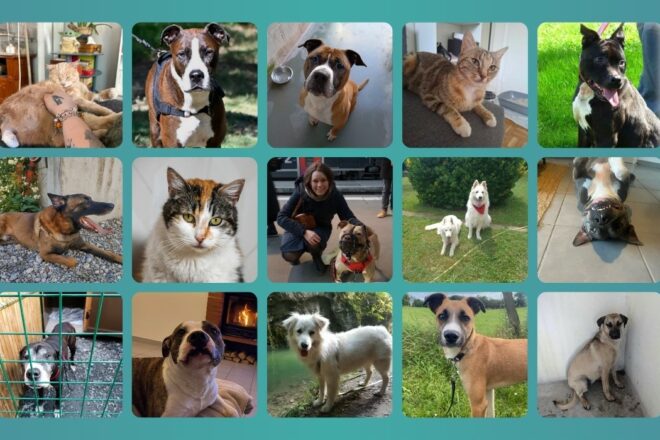 Famille relais : un rôle tellement important… Et pourtant trop méconnu !