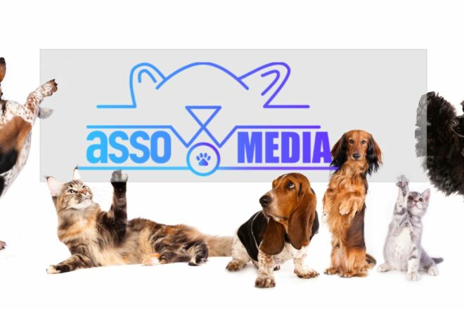 Qui est Asso MEDIA ? Cette association qui secoue les codes du marketing digital