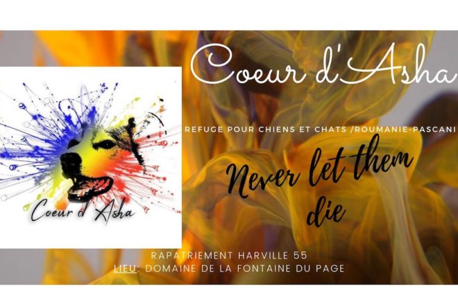 Cœur d’Asha, une association à soutenir