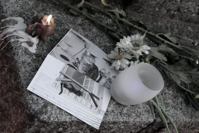 Le cimetière des animaux d’Asnières