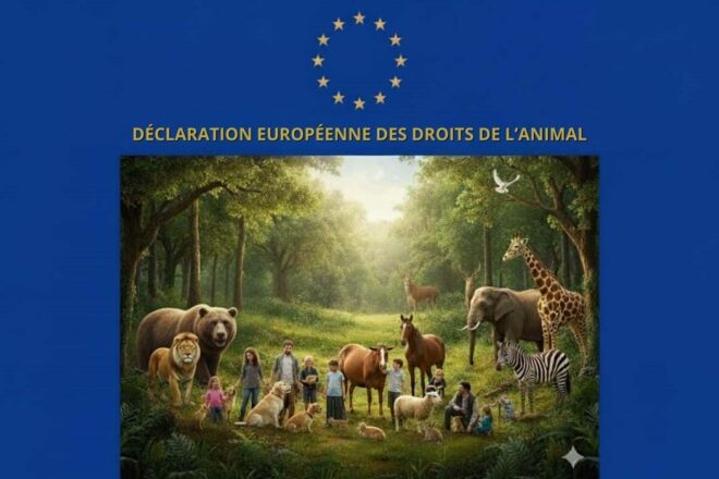 Rappel de la singularité de la Déclaration européenne des droits de l’animal et appel à la soutenir en conséquence