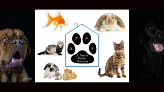 À Toutes Pattes Services, service pour animaux domestiques à la carte