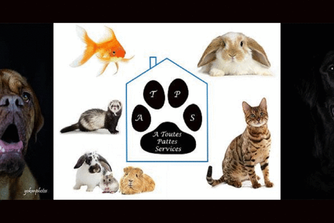 À Toutes Pattes Services, service pour animaux domestiques à la carte