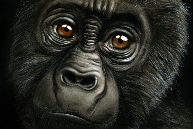 Florence Dellerie : « il est essentiel de s’éduquer à la pensée critique »