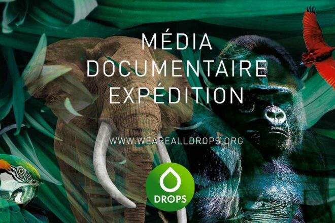 L’association DROPS, we are all DROPS