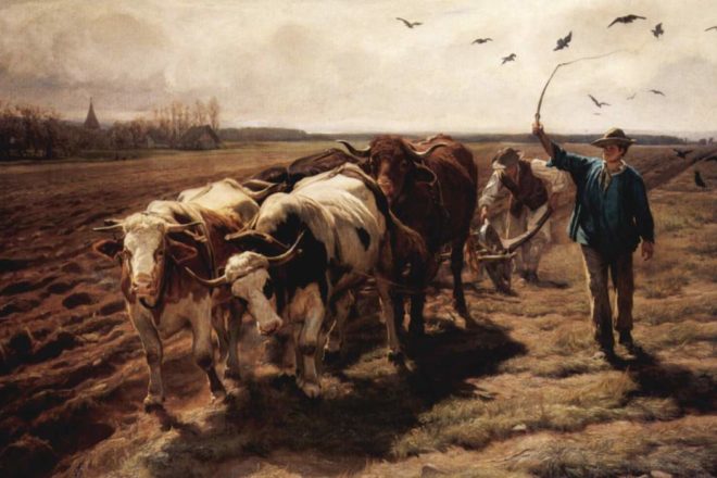 L’animal au Conseil municipal