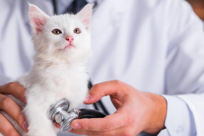 L’identification, une obligation légale et primordiale