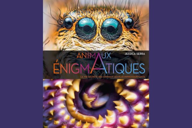 Jessica Serra, animaux énigmatiques. La vie secrète des animaux les plus impressionnants