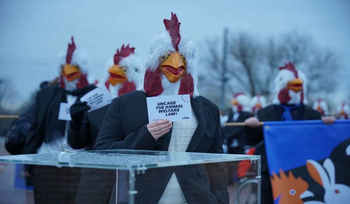 10 ONG animalistes interpellent le Parlement européen à Strasbourg