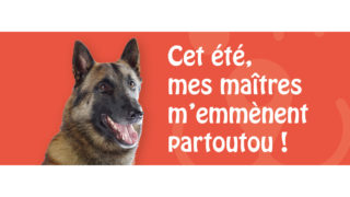 Une grande première en Alsace : des structures de garderie pour chiens au service du tourisme !