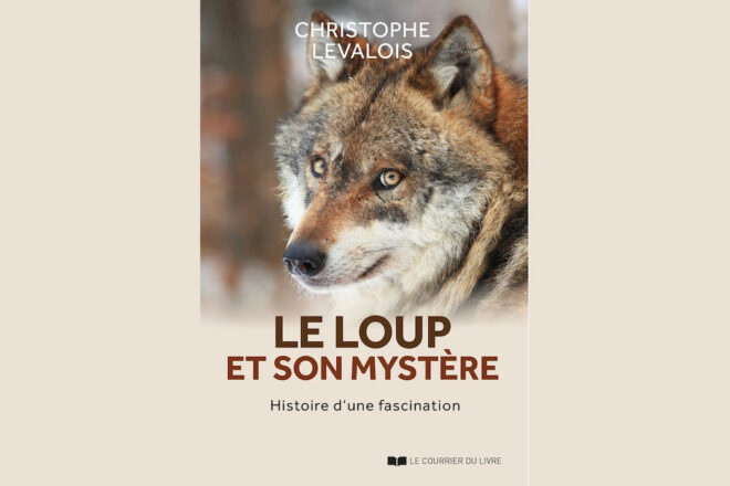 Le loup et nous – Une histoire qui vient de très loin !