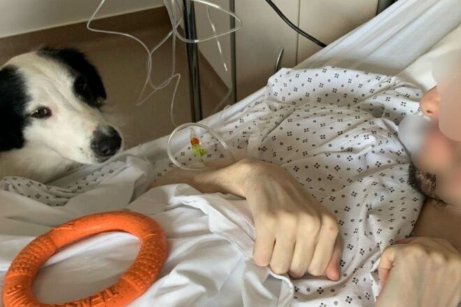 La médiation animale : un souffle de bien-être en milieu hospitalier