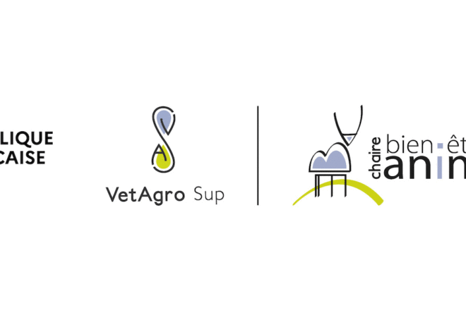 Interview de Luc Mounier, professeur à VetAgro et responsable de la chaire bien-être animal