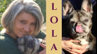 Lettre à Lola. Traverser le deuil animalier, une étoile à la fois