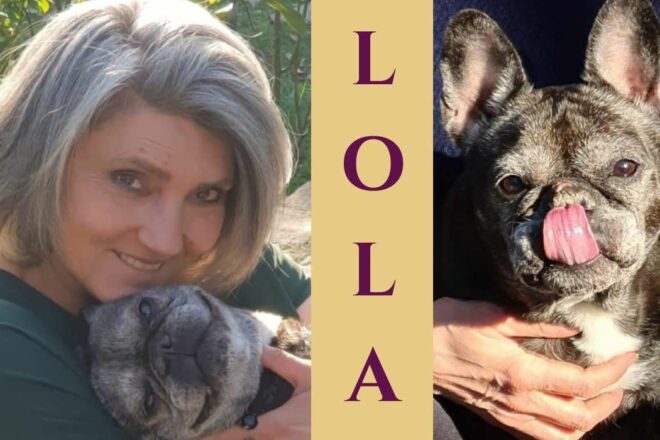 Lettre à Lola. Traverser le deuil animalier, une étoile à la fois
