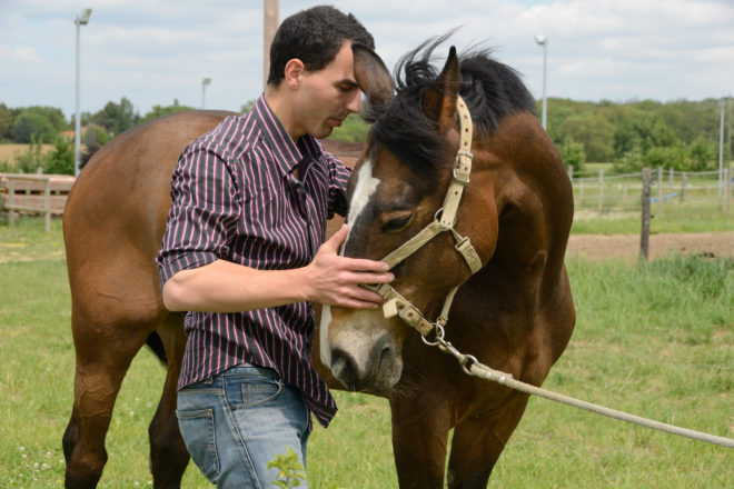Ostéopathe animalier, une approche de la santé animale en pleine évolution