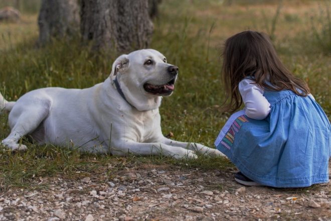 La question animale s’invite dans les débats philo à l’école