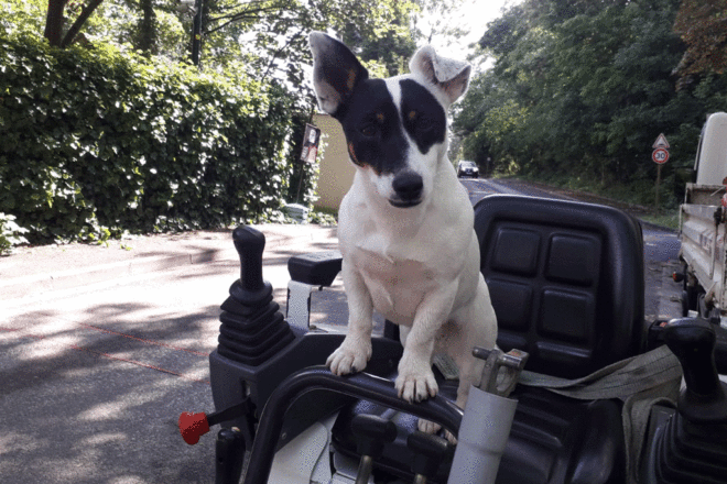 Au travail avec Mascotte. Quotidien d’une chienne qui porte bien son nom