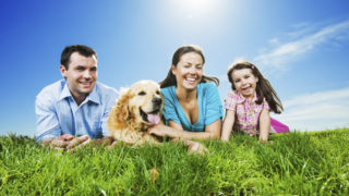 Start-up innovante locale pour faire garder son animal cet été et lutter contre les abandons
