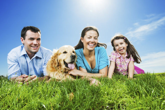 Start-up innovante locale pour faire garder son animal cet été et lutter contre les abandons