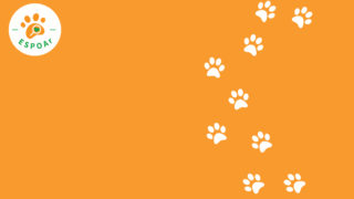 Enquête : Plus des 3/4 des refuges seraient dans l’incapacité de recueillir les animaux des associations sans refuge