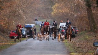 Des chasses à courre illégales pendant le confinement