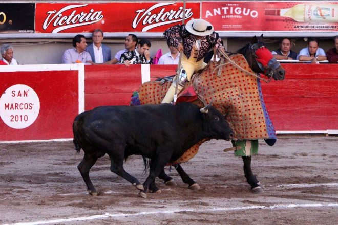 Le cheval, autre victime des corridas