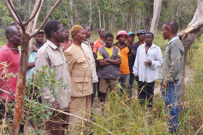 Cohabiter avec les éléphants : établir une forme de dialogue inter-espèce (3/3)