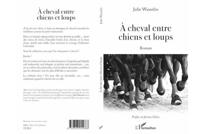 Questions posées à Julie Wasselin