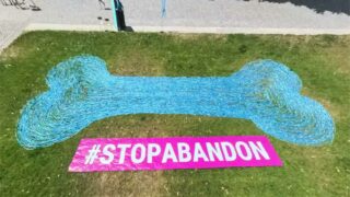 Guinness book : un record inédit. 3,743 km de laisse pour dire “Stop!” à l’abandon