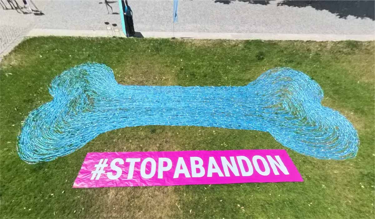 Guinness book : un record inédit. 3,743 km de laisse pour dire “Stop!” à l’abandon