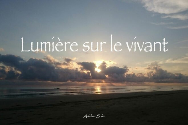 « Lumière sur le vivant », nouveau média pour une reconnexion au vivant