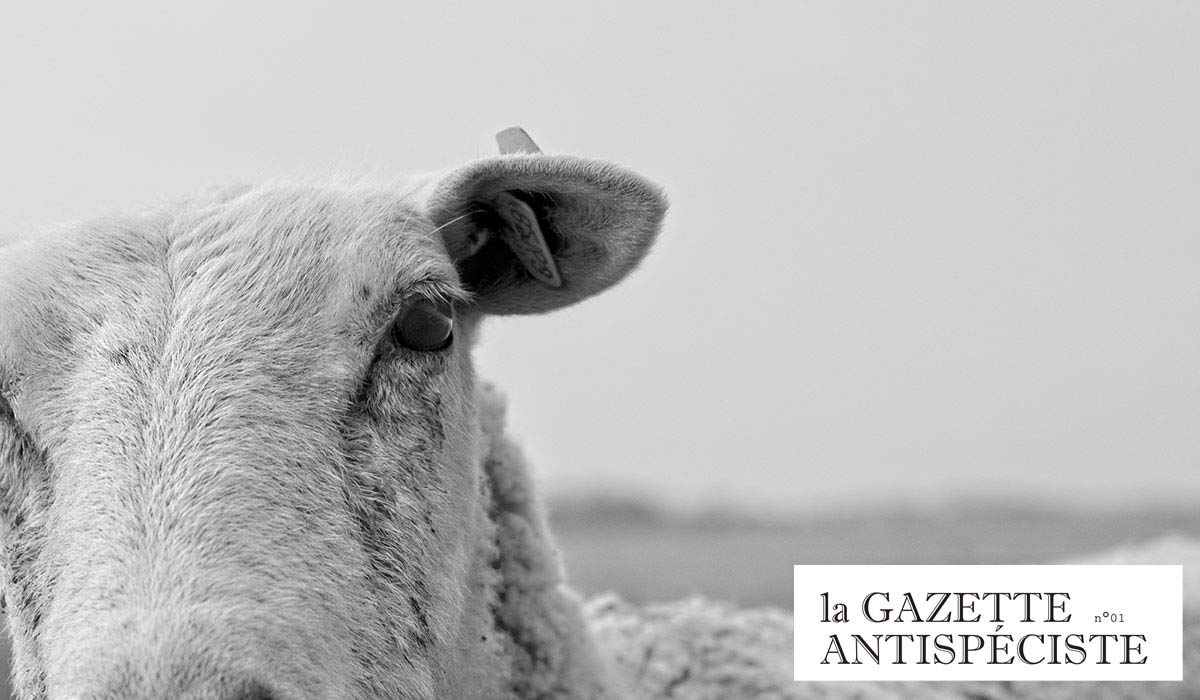 La Gazette antispéciste, portrait d’une revue militante