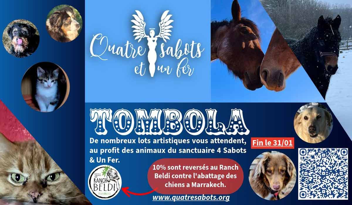 L’envers du décor d’une tombola, l’endroit du décor dédié aux animaux
