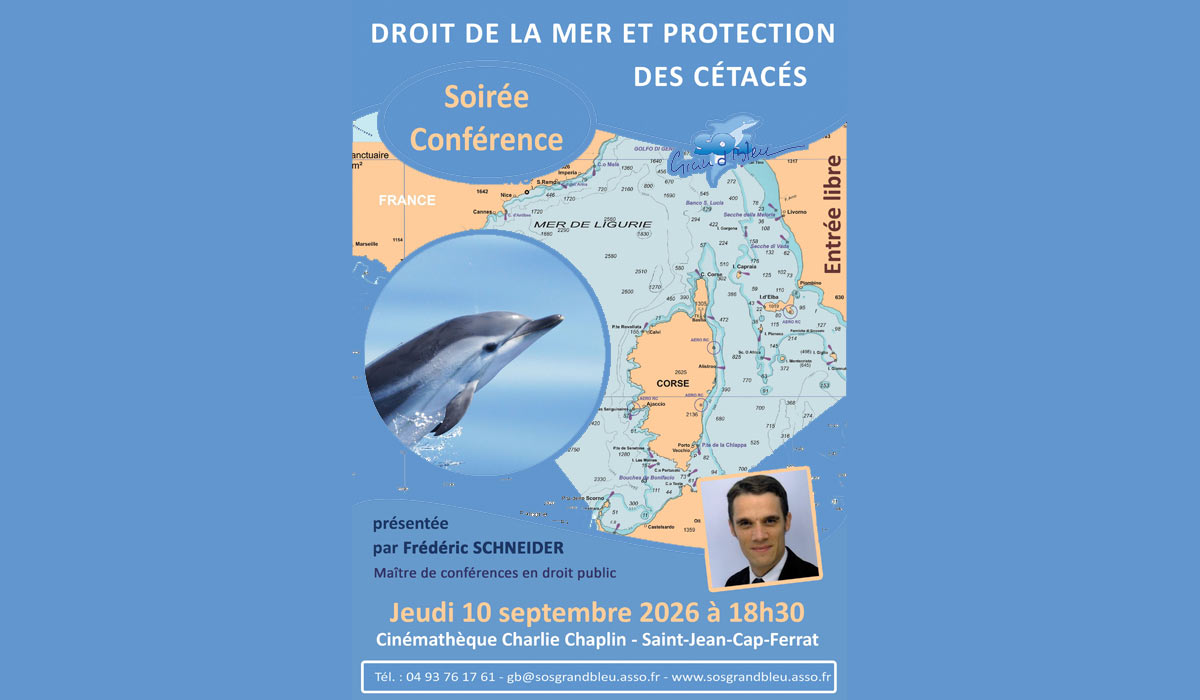 Soirée « Droit de la mer et protection des cétacés » – Jeudi 10 septembre 2026 – 18h30 – Cinémathèque “Charlie Chaplin” à Saint-Jean-Cap-Ferrat – Entrée libre 