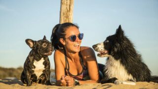 Etude Ipsos x Santévet : 67 % des Français ne pourraient envisager une relation de couple avec une personne qui n’aime pas les animaux