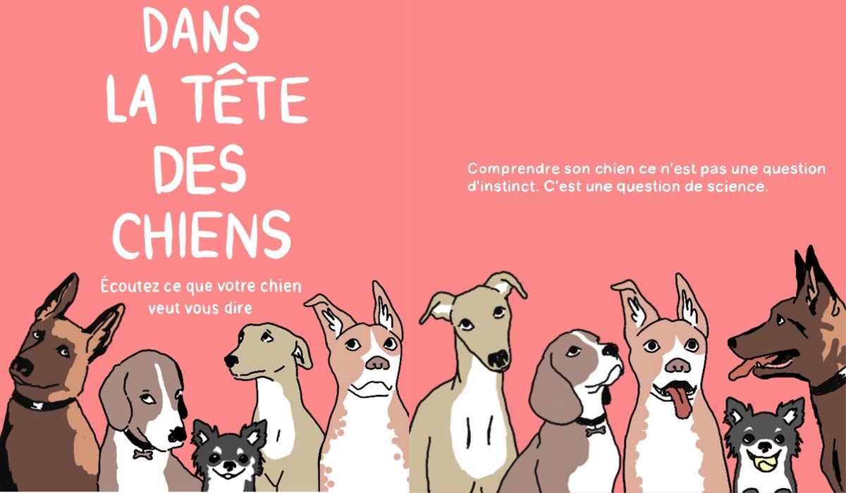 Un livre pour réellement comprendre son chien