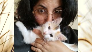 D’un rêve à la réalité, ma nouvelle vie de Petsitter ! 