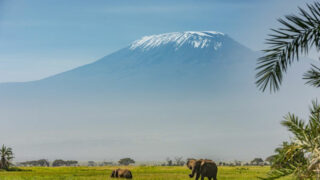 Congrès mondial de la nature de l’UICN : IFAW plaidera en faveur de solutions climatiques et de conservation qui intègrent la faune sauvage