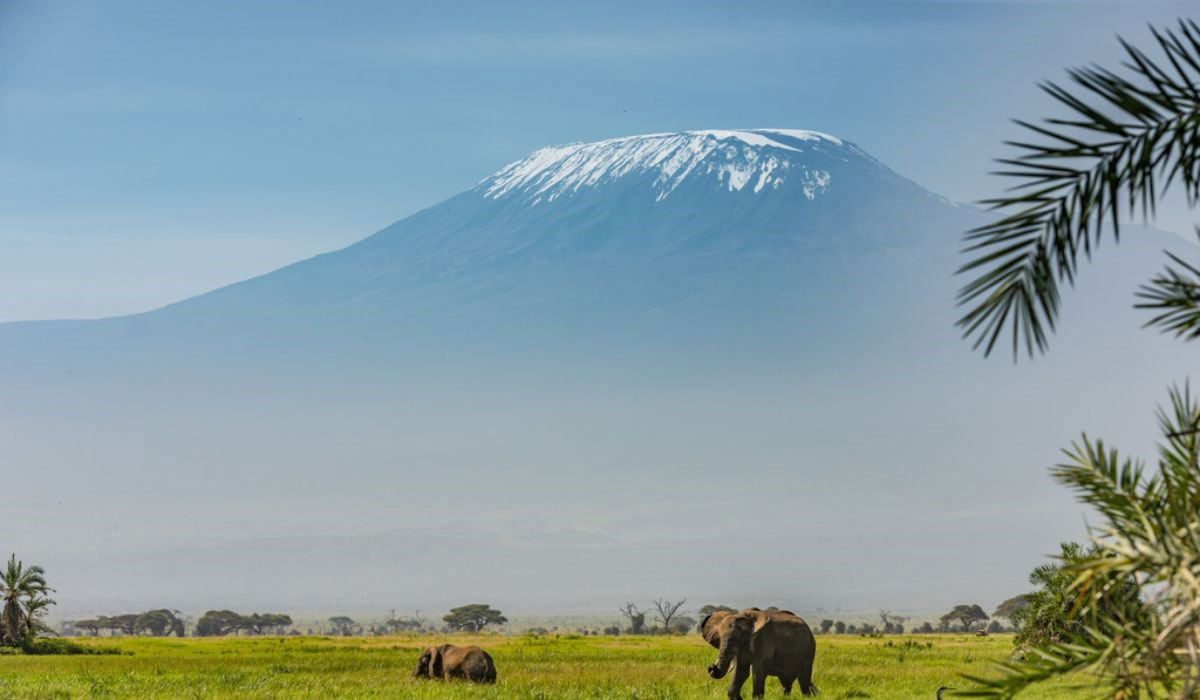 Congrès mondial de la nature de l’UICN : IFAW plaidera en faveur de solutions climatiques et de conservation qui intègrent la faune sauvage