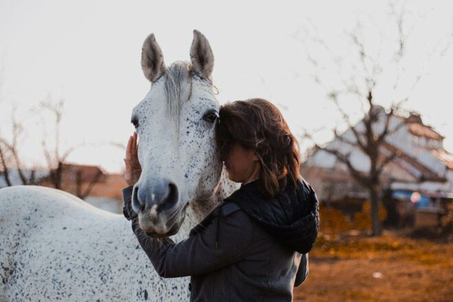 Le contact avec le cheval : une force de résilience inégalée