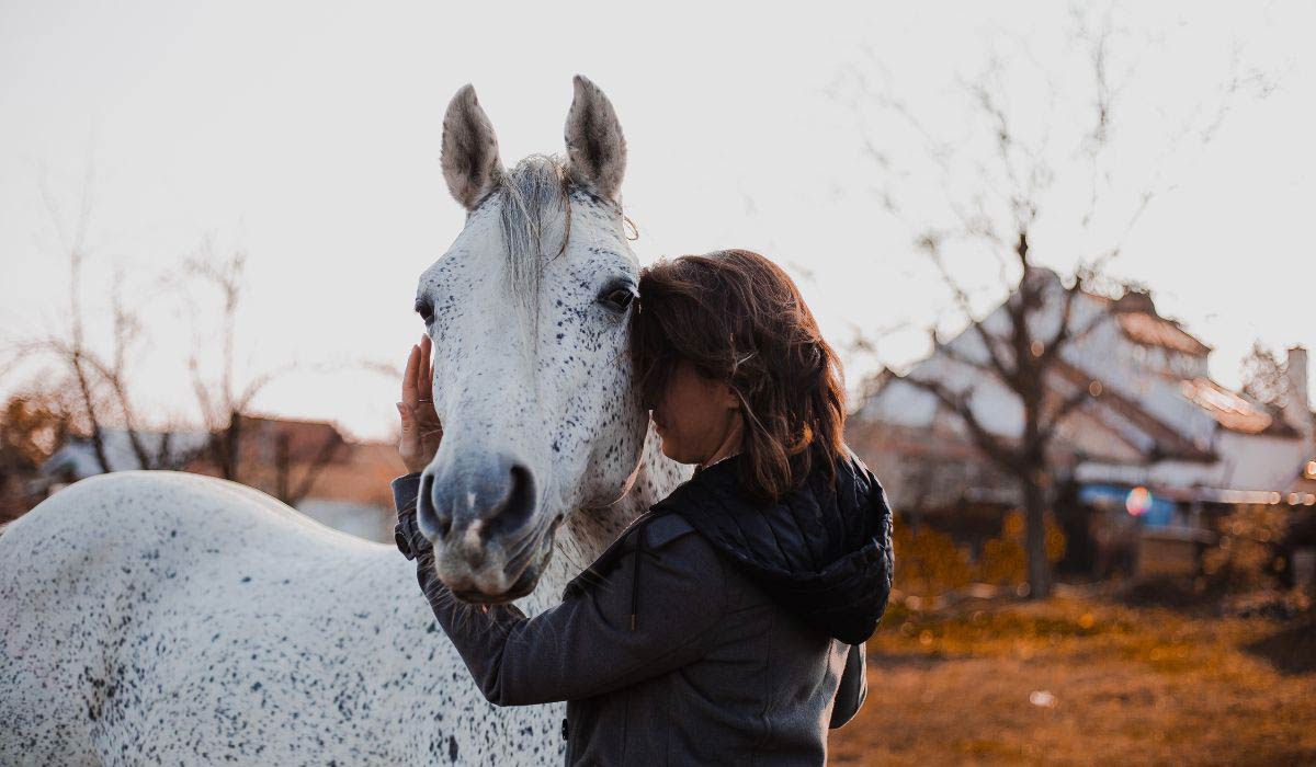 Le contact avec le cheval : une force de résilience inégalée