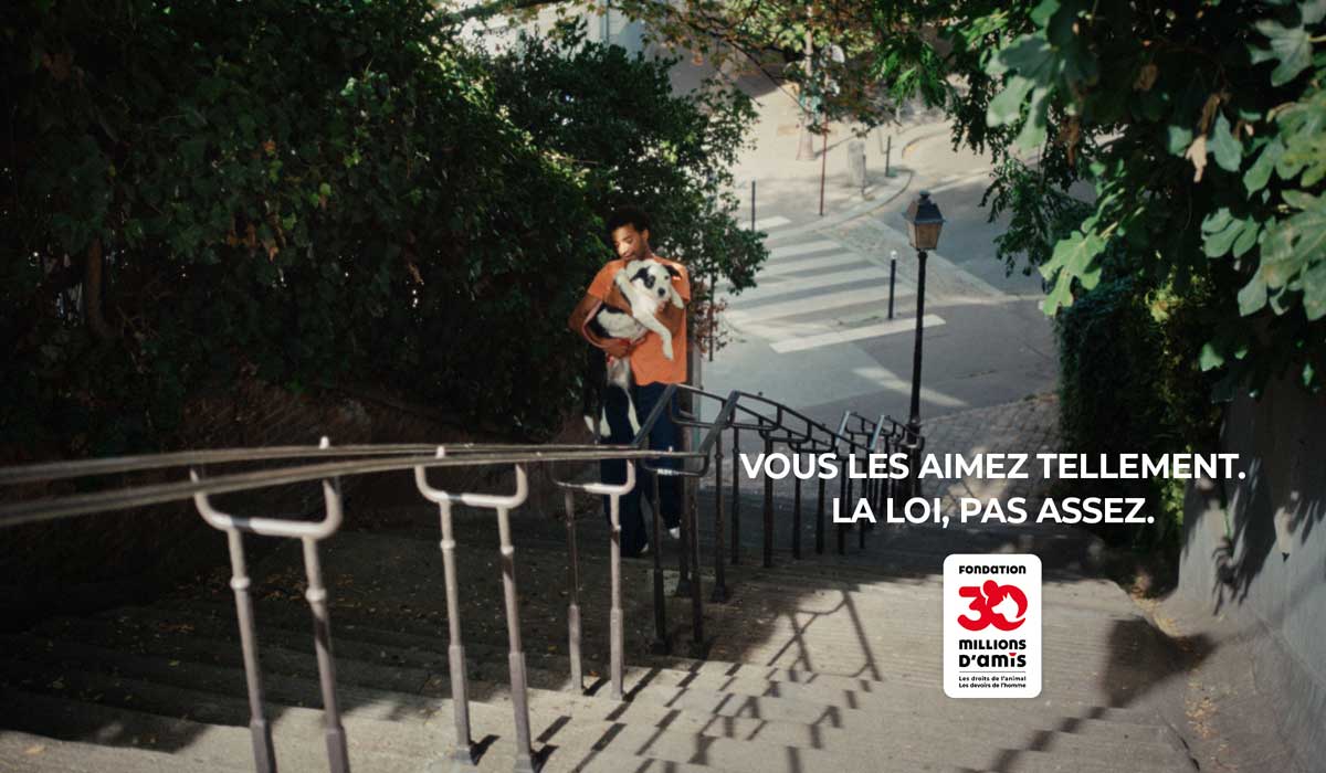 Droit des animaux : la Fondation 30 Millions d’Amis dévoile sa nouvelle campagne pour l’évolution du statut juridique de l’animal