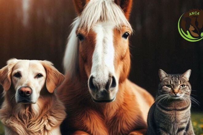 L’Association Nationale de Comportementalistes Animaliers